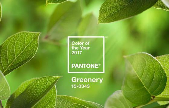 Greenery is the color chosen by Pantone for 2017
